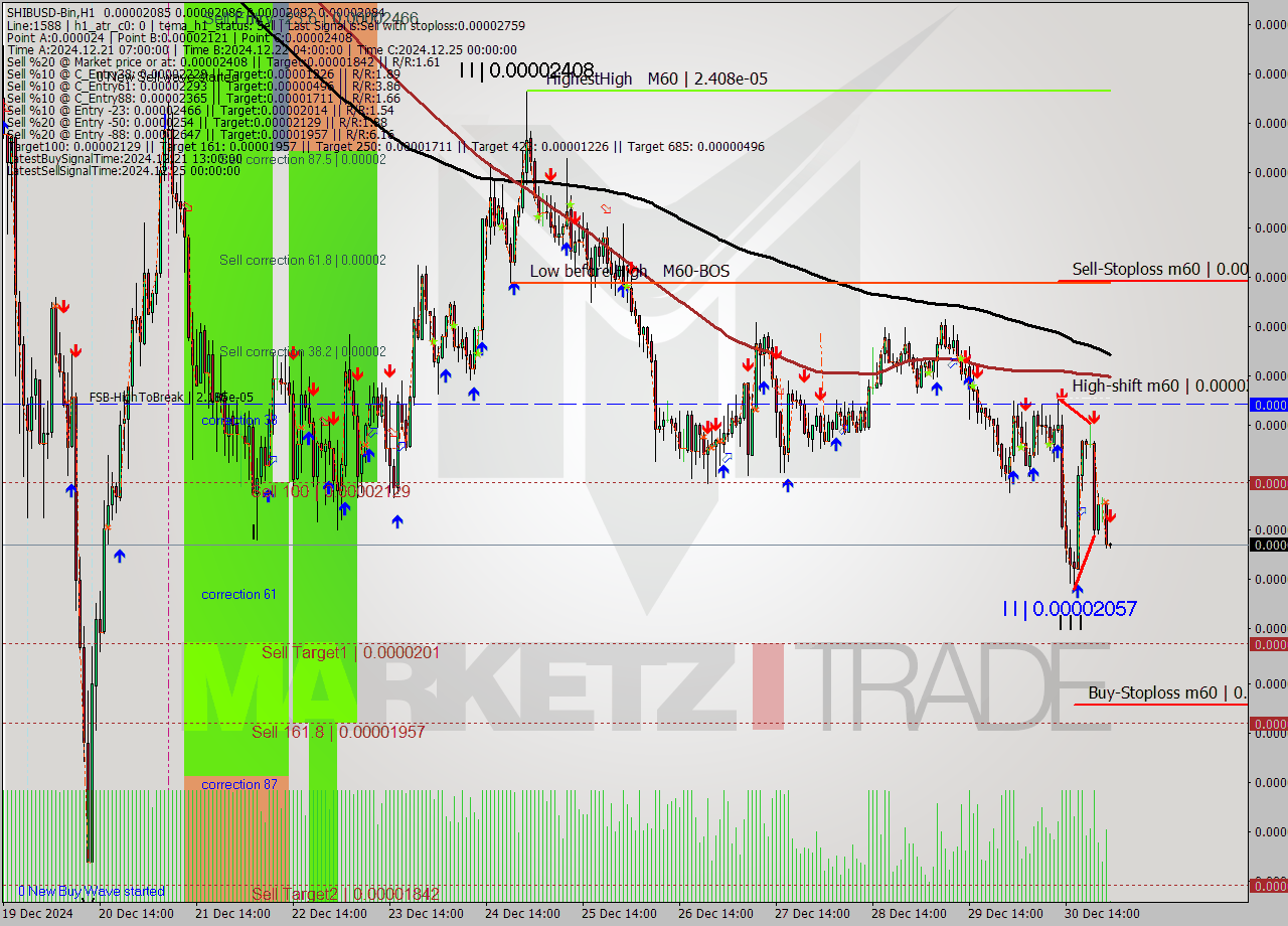 SHIBUSD-Bin MultiTimeframe analysis at date 2024.12.31 03:00