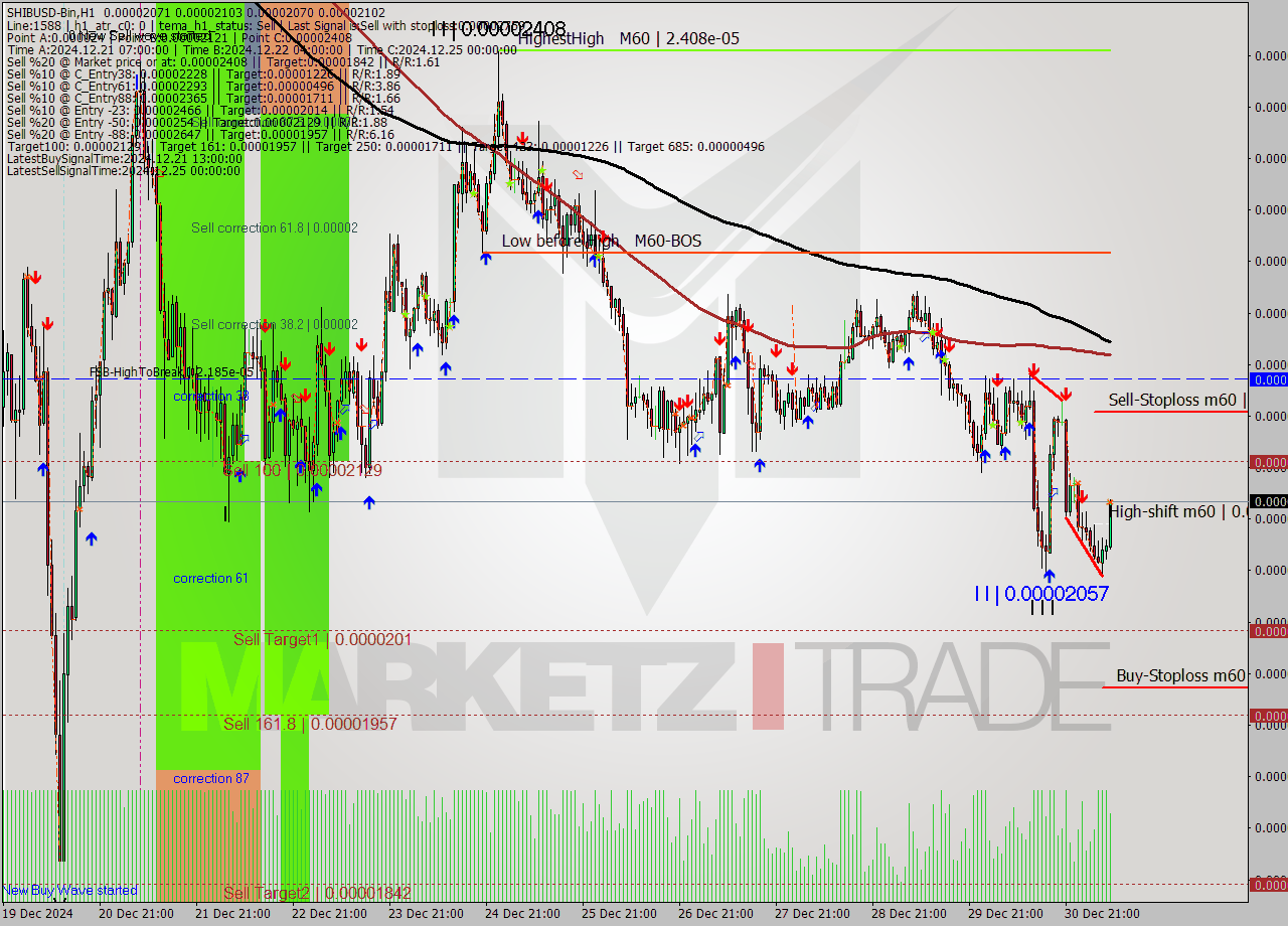 SHIBUSD-Bin MultiTimeframe analysis at date 2024.12.31 10:25