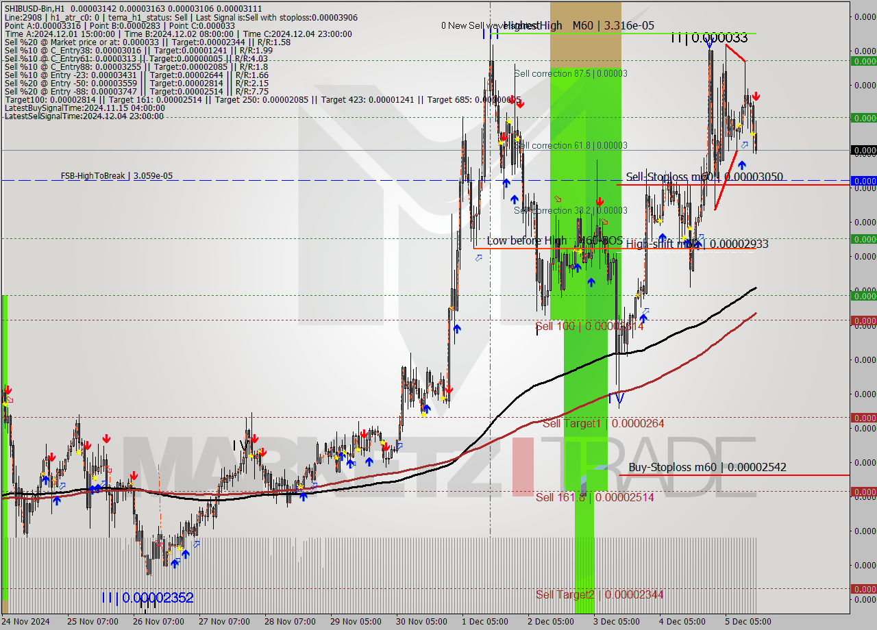 SHIBUSD-Bin MultiTimeframe analysis at date 2024.12.05 18:40