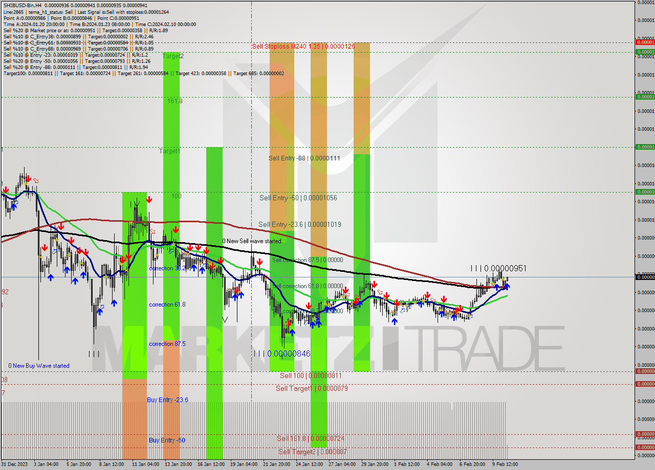 SHIBUSD-Bin MultiTimeframe analysis at date 2024.02.10 18:57