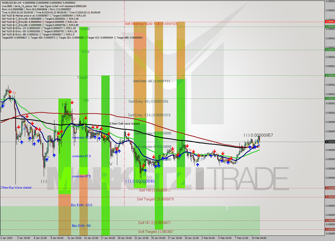 SHIBUSD-Bin MultiTimeframe analysis at date 2024.02.11 12:51