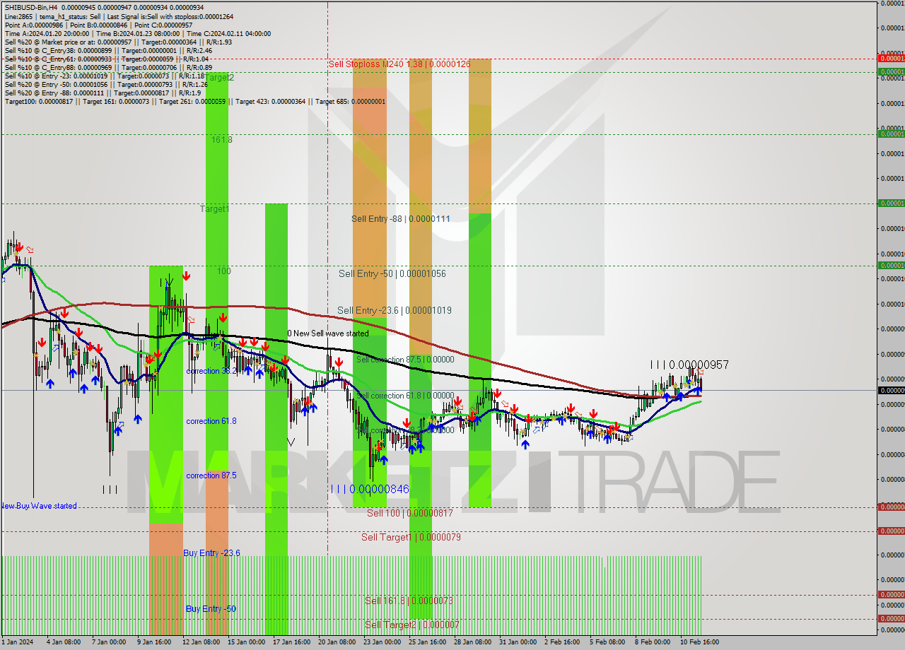 SHIBUSD-Bin MultiTimeframe analysis at date 2024.02.11 22:54