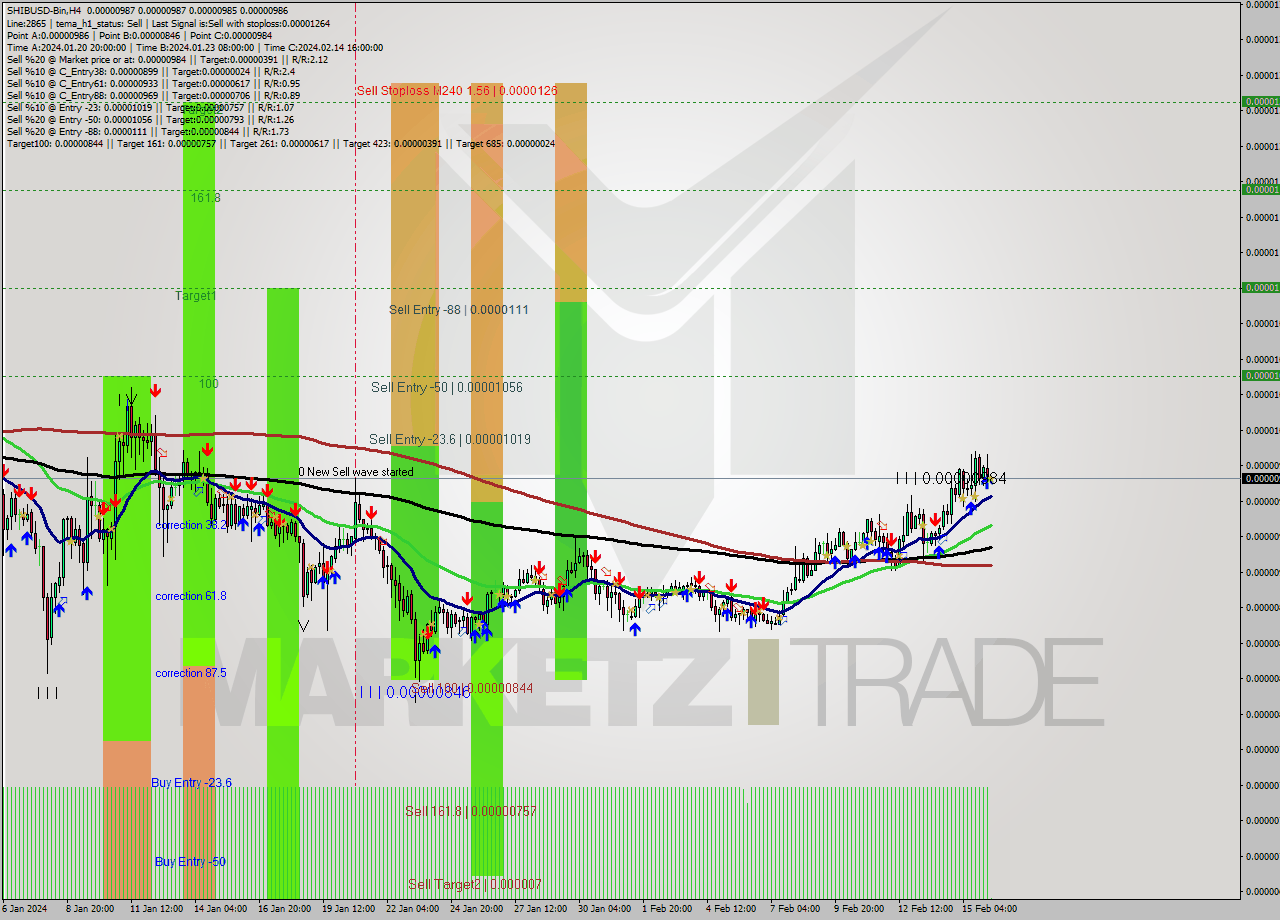 SHIBUSD-Bin MultiTimeframe analysis at date 2024.02.16 10:00