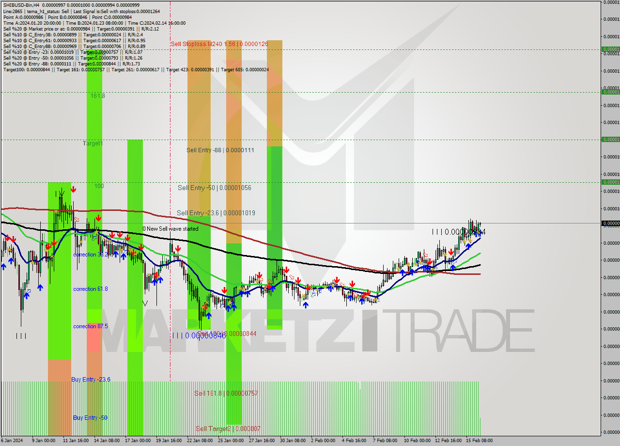 SHIBUSD-Bin MultiTimeframe analysis at date 2024.02.16 14:19