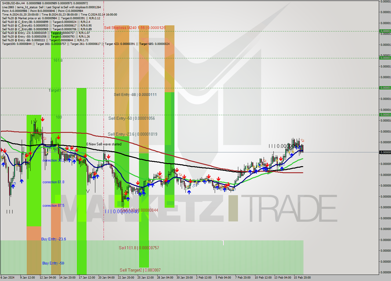 SHIBUSD-Bin MultiTimeframe analysis at date 2024.02.17 03:50