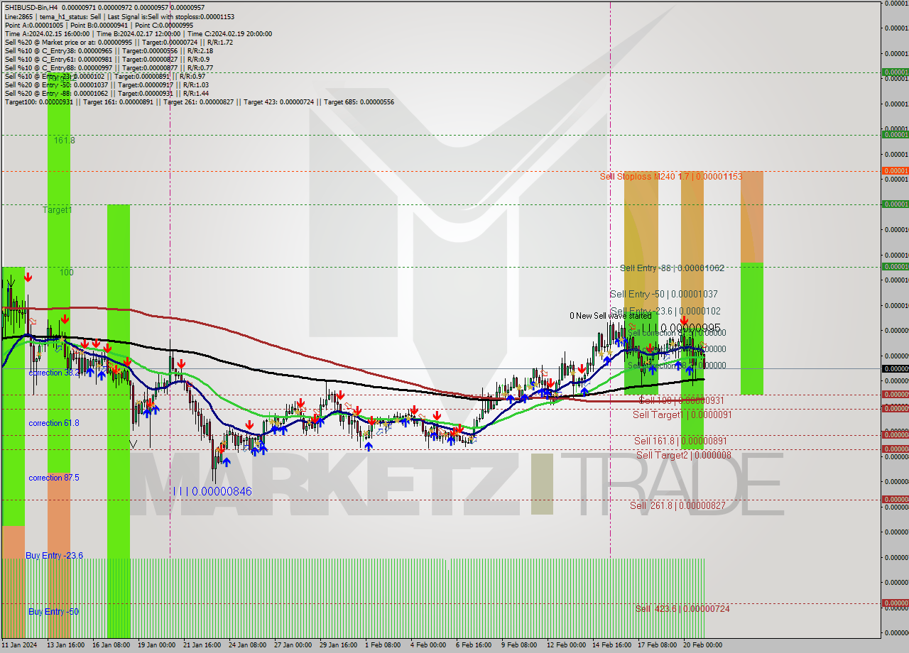 SHIBUSD-Bin MultiTimeframe analysis at date 2024.02.21 08:39