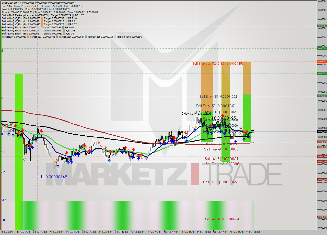 SHIBUSD-Bin MultiTimeframe analysis at date 2024.02.25 03:44
