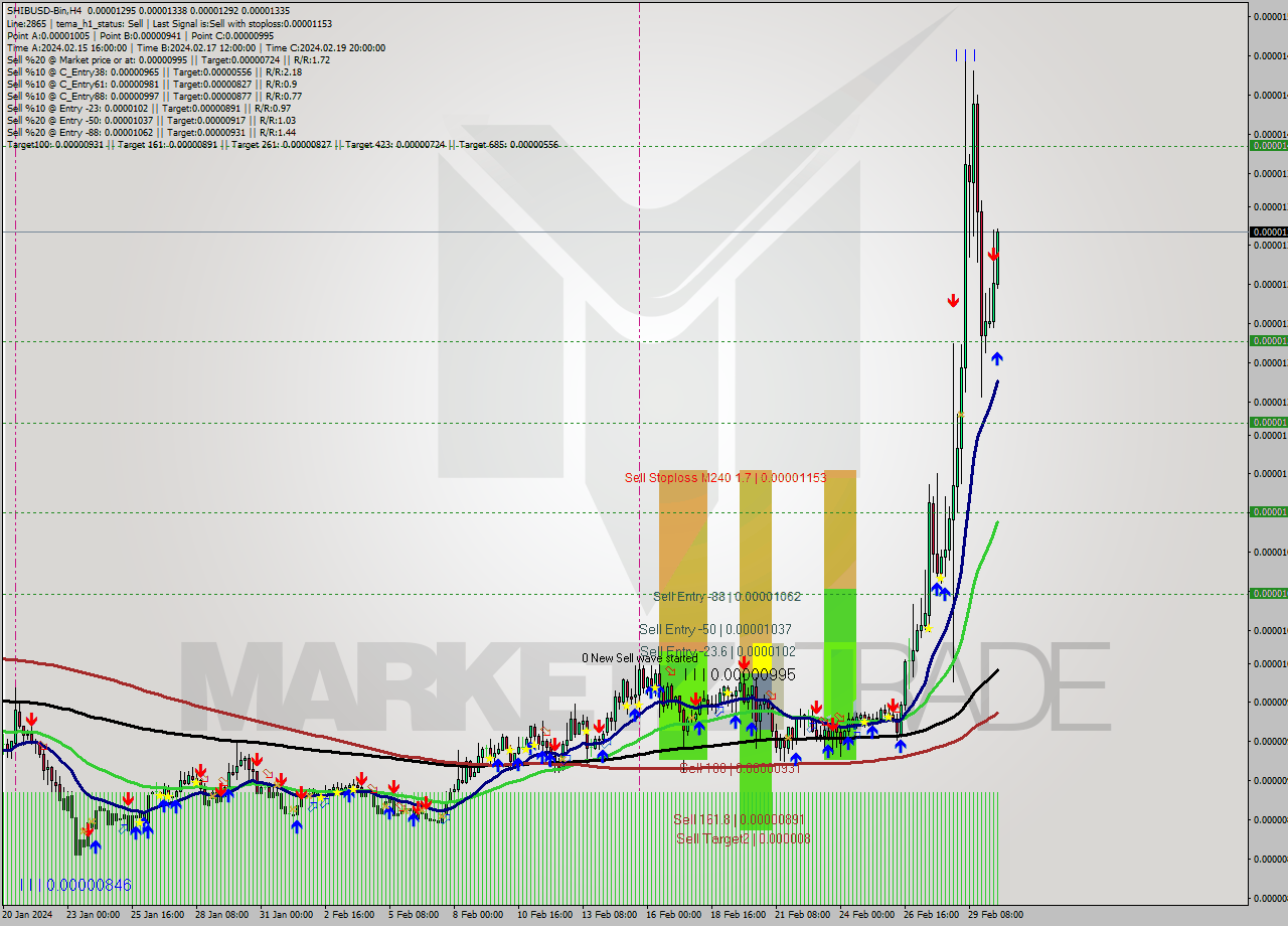 SHIBUSD-Bin MultiTimeframe analysis at date 2024.03.01 15:36