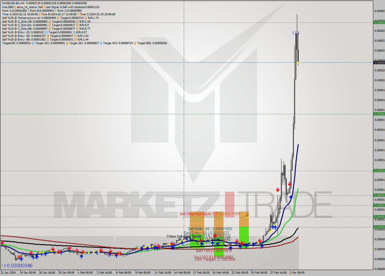 SHIBUSD-Bin MultiTimeframe analysis at date 2024.03.02 16:00