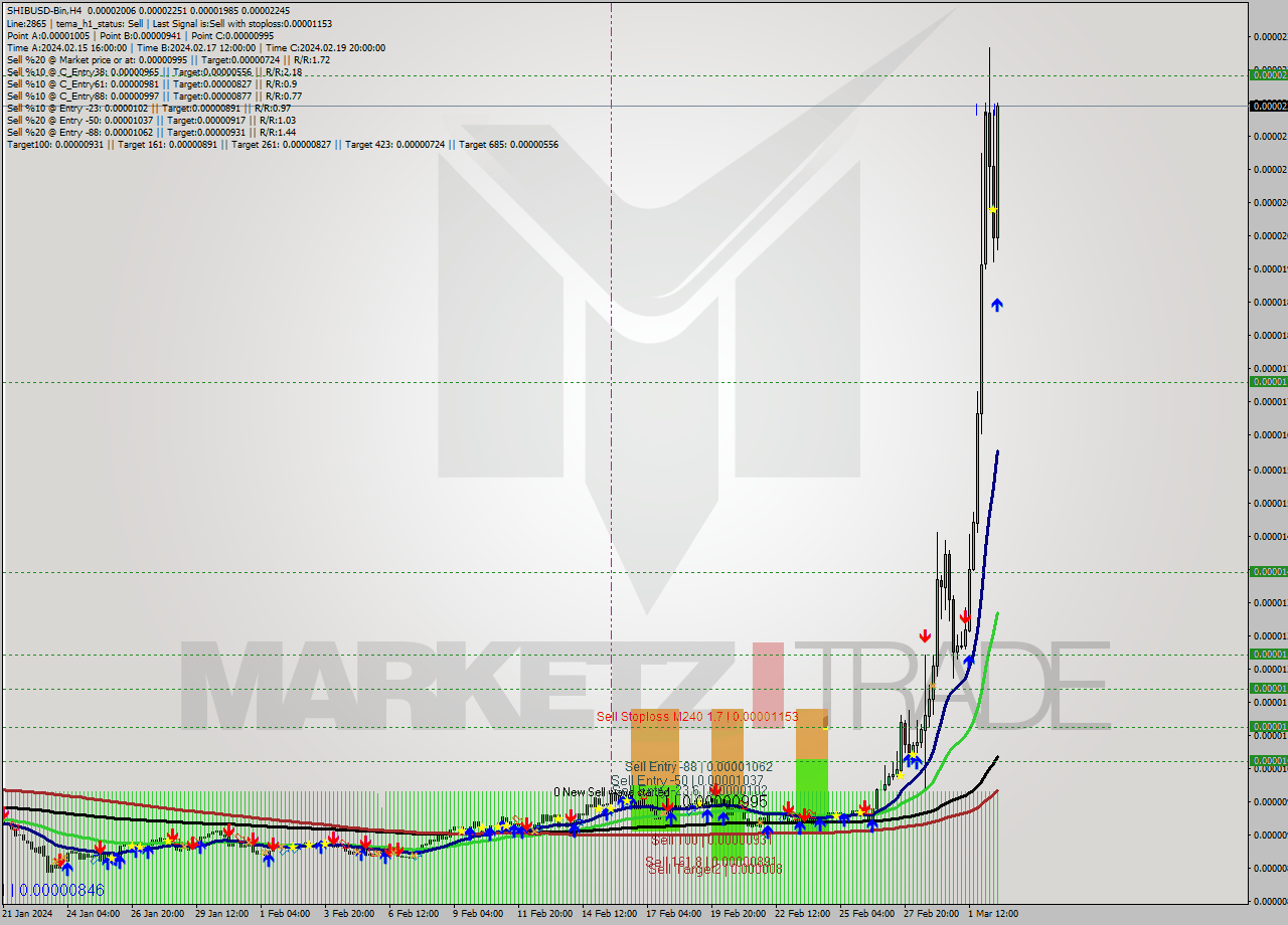 SHIBUSD-Bin MultiTimeframe analysis at date 2024.03.02 20:26