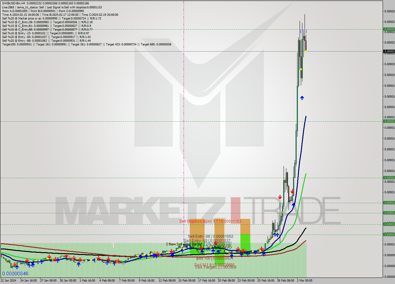 SHIBUSD-Bin MultiTimeframe analysis at date 2024.03.03 07:32