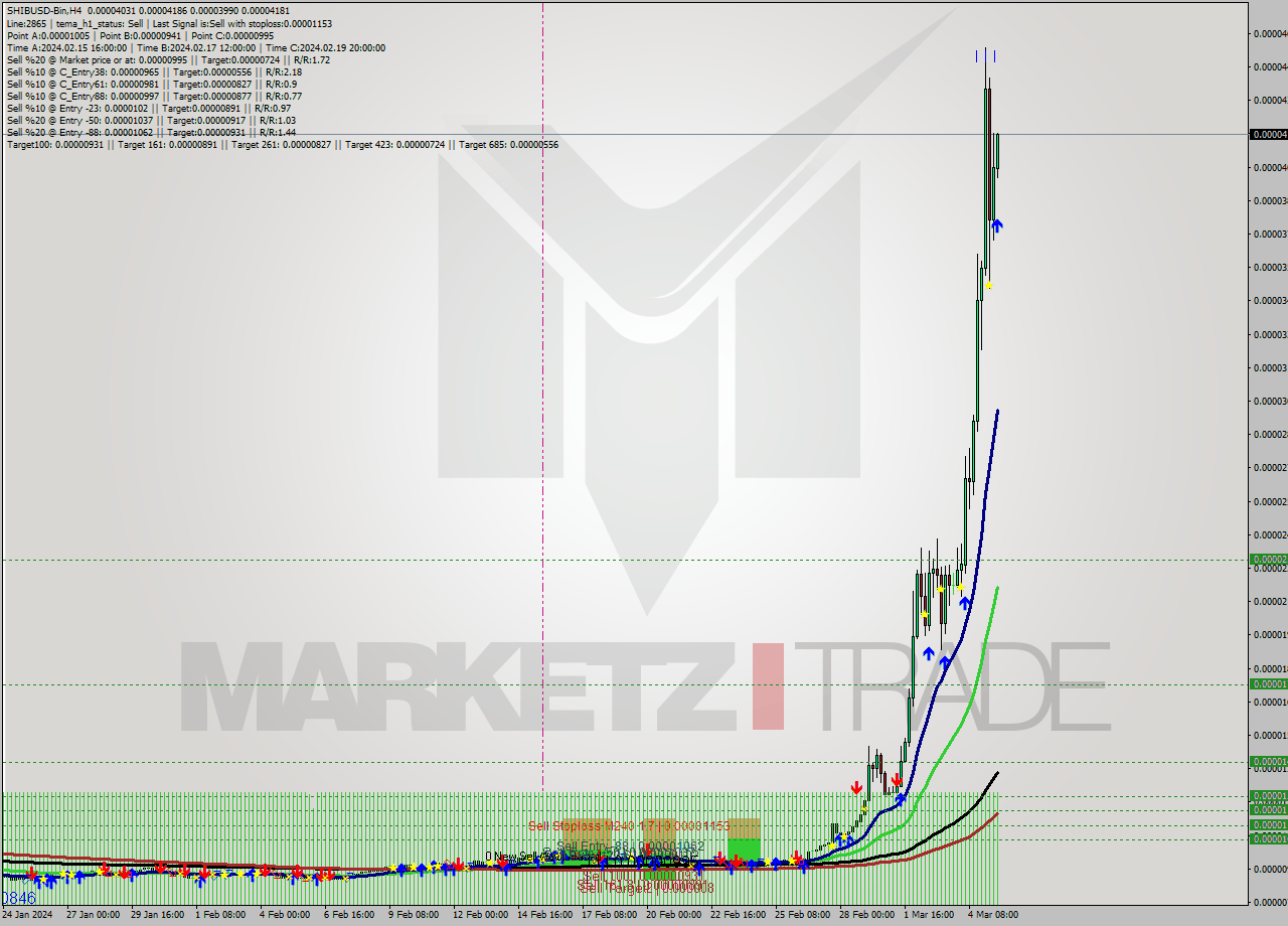SHIBUSD-Bin MultiTimeframe analysis at date 2024.03.05 14:39
