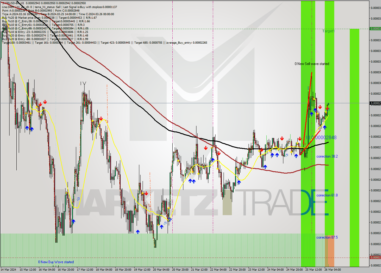 SHIBUSD-Bin MultiTimeframe analysis at date 2024.03.26 09:00
