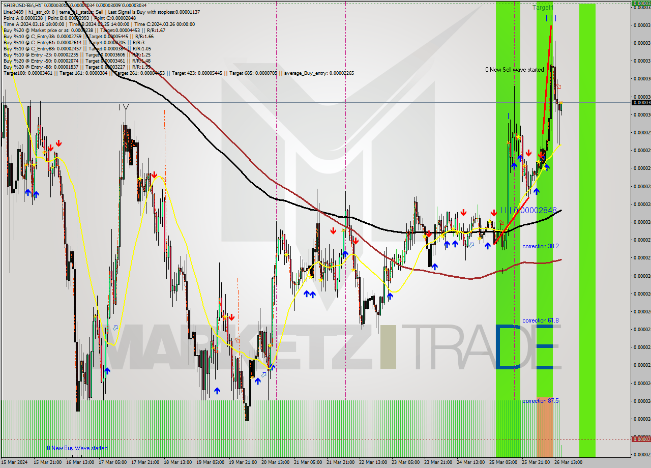 SHIBUSD-Bin MultiTimeframe analysis at date 2024.03.26 18:02