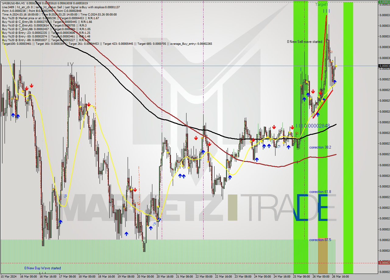 SHIBUSD-Bin MultiTimeframe analysis at date 2024.03.26 21:00