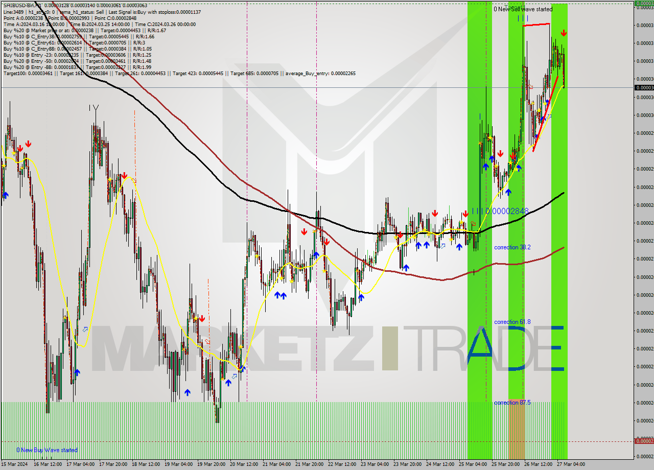 SHIBUSD-Bin MultiTimeframe analysis at date 2024.03.27 09:27