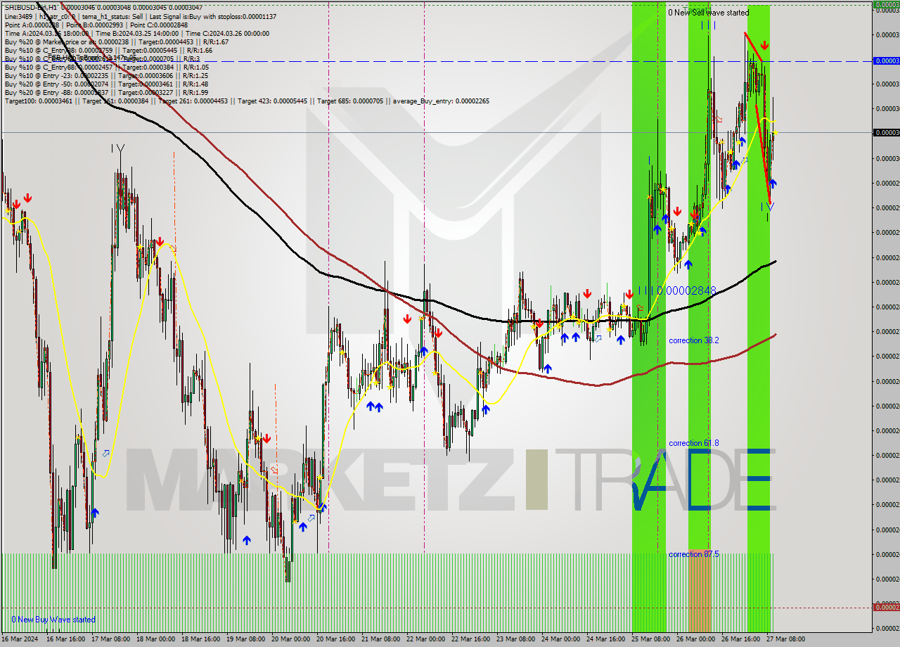 SHIBUSD-Bin MultiTimeframe analysis at date 2024.03.27 13:00
