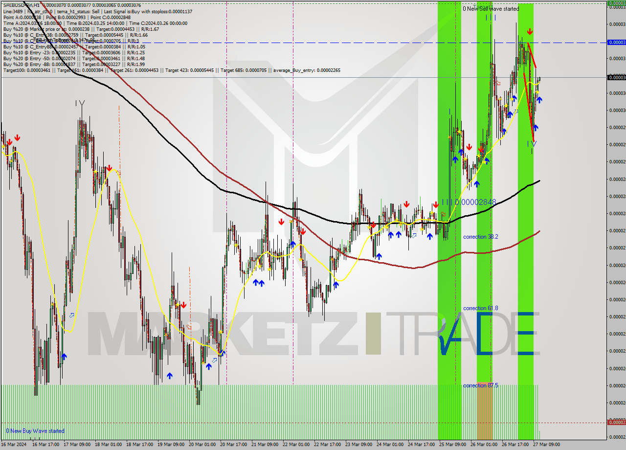 SHIBUSD-Bin MultiTimeframe analysis at date 2024.03.27 14:02