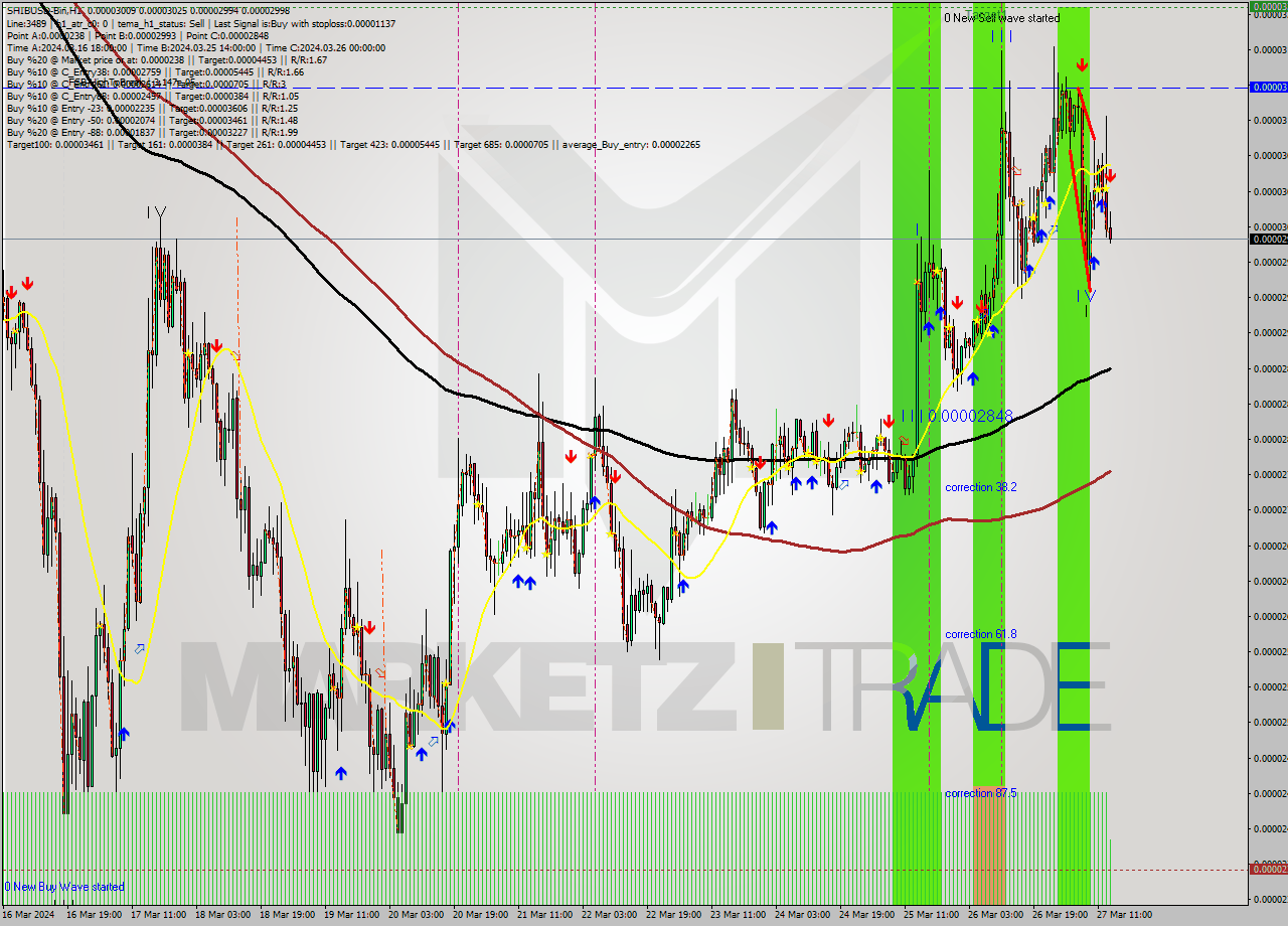 SHIBUSD-Bin MultiTimeframe analysis at date 2024.03.27 16:02