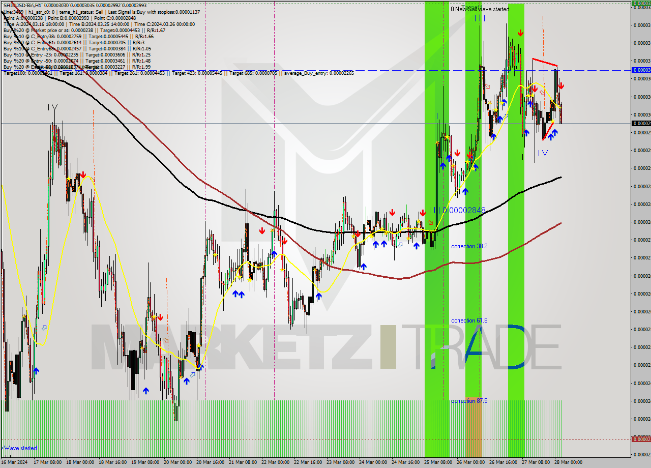 SHIBUSD-Bin MultiTimeframe analysis at date 2024.03.28 05:38