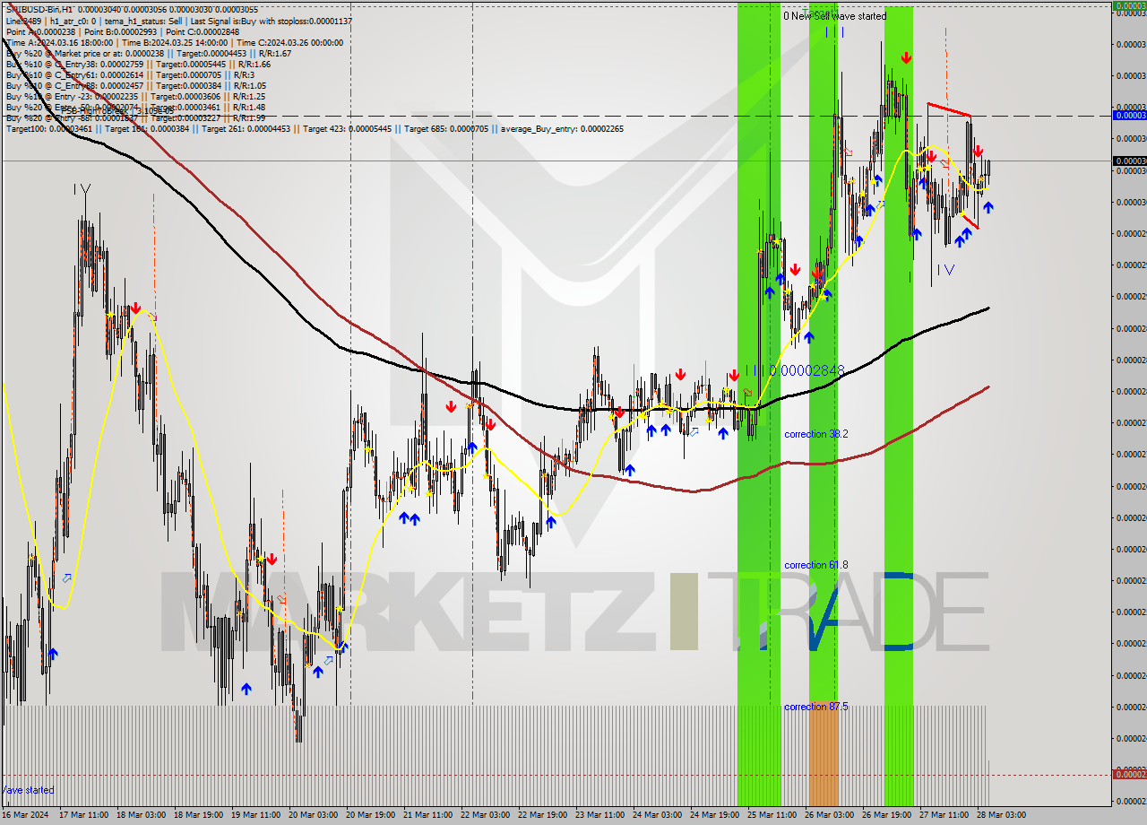 SHIBUSD-Bin MultiTimeframe analysis at date 2024.03.28 08:17