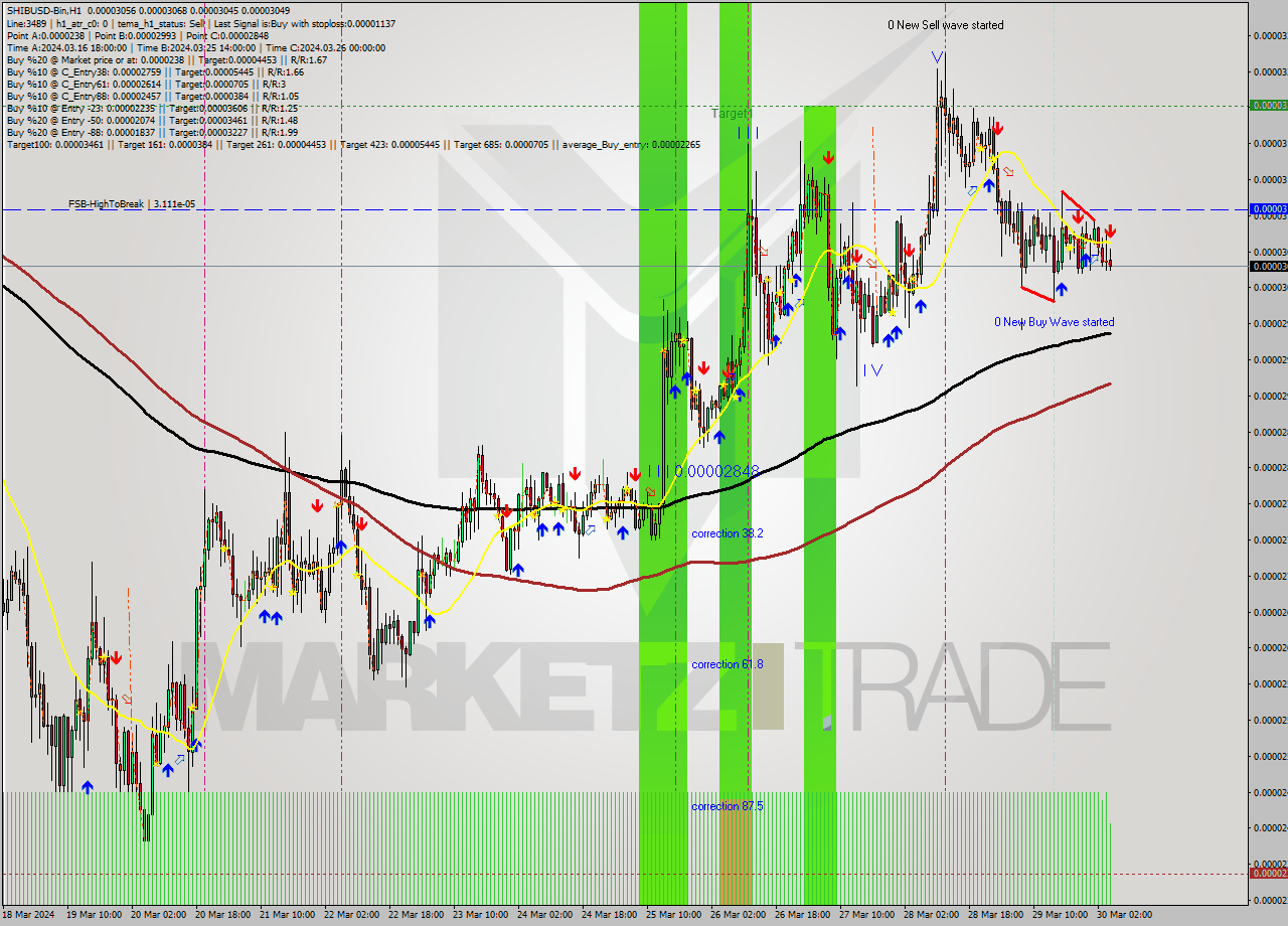 SHIBUSD-Bin MultiTimeframe analysis at date 2024.03.30 07:01