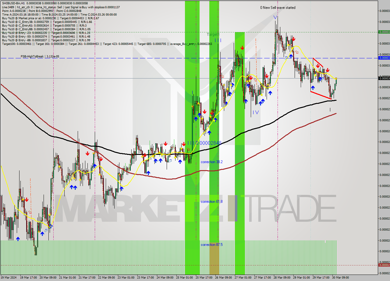 SHIBUSD-Bin MultiTimeframe analysis at date 2024.03.30 14:20