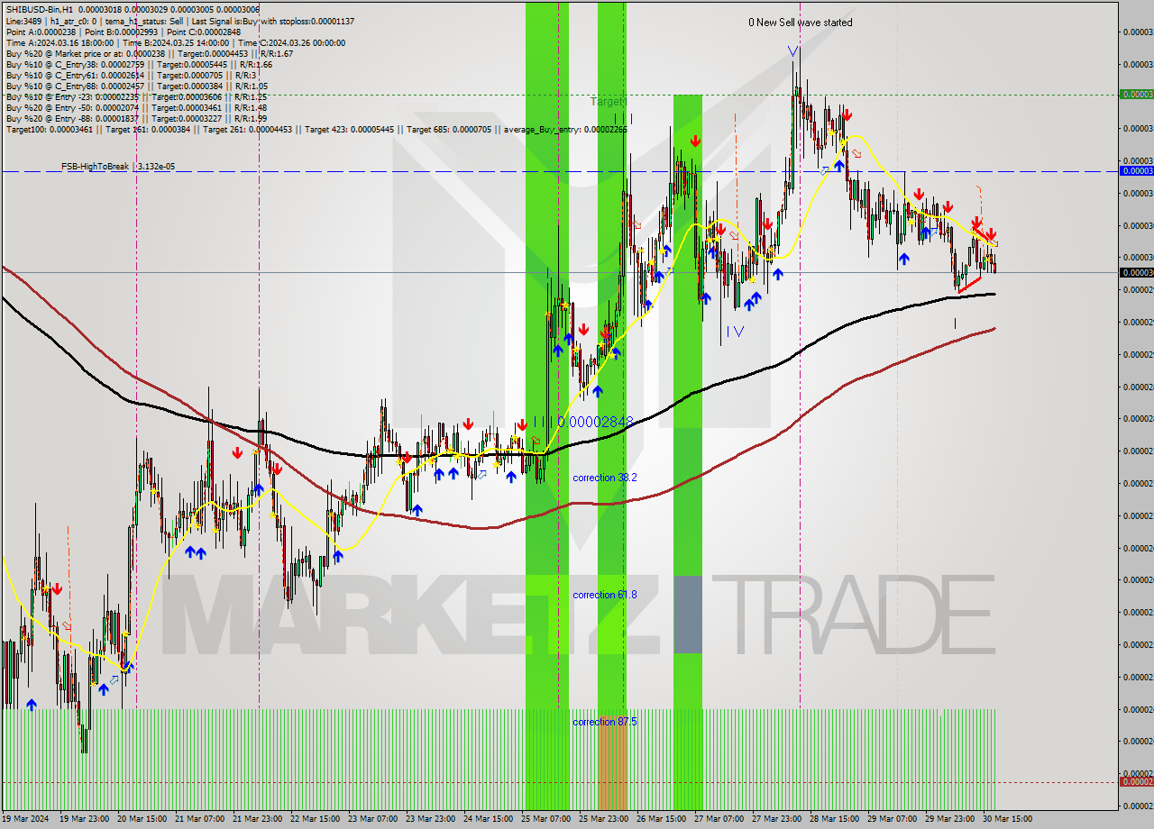 SHIBUSD-Bin MultiTimeframe analysis at date 2024.03.30 20:59
