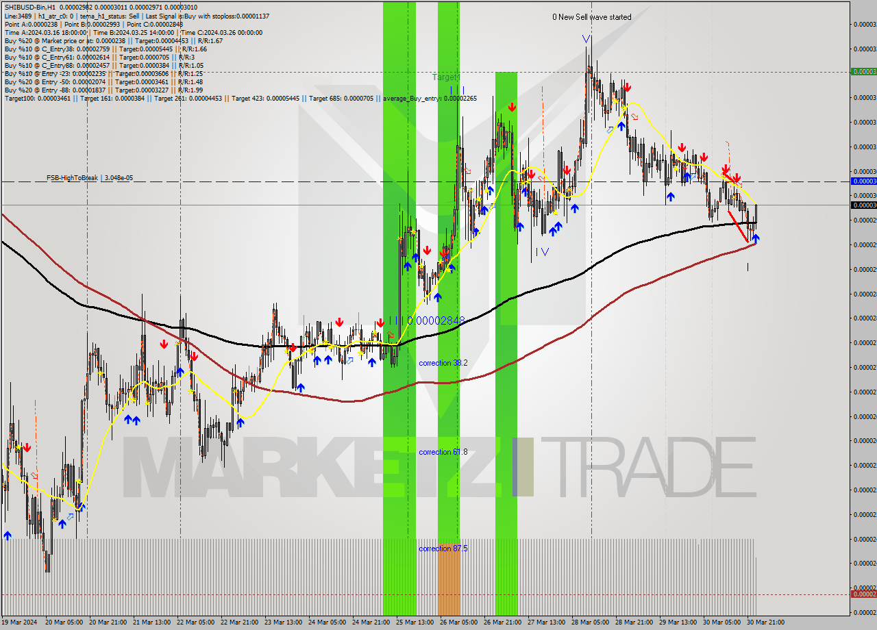 SHIBUSD-Bin MultiTimeframe analysis at date 2024.03.31 02:21