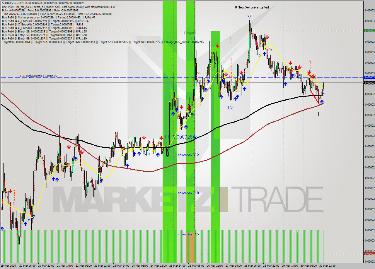 SHIBUSD-Bin MultiTimeframe analysis at date 2024.03.31 04:48