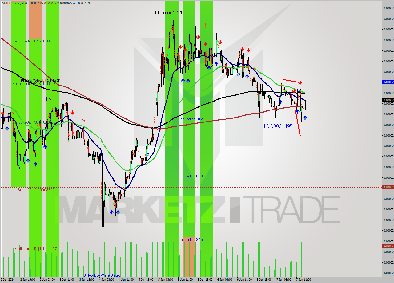 SHIBUSD-Bin M30 Analysis SHIBUSD-Bin M30 Signal