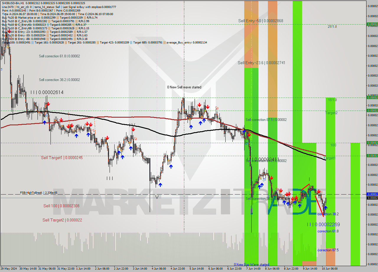 SHIBUSD-Bin MultiTimeframe analysis at date 2024.06.10 12:45