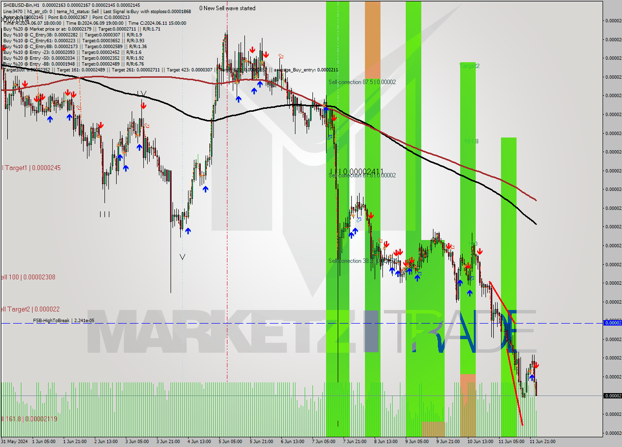 SHIBUSD-Bin MultiTimeframe analysis at date 2024.06.12 03:29