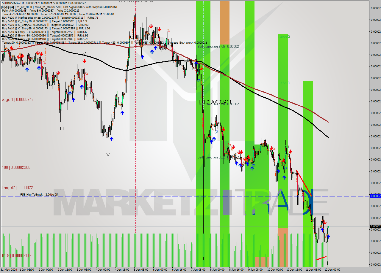 SHIBUSD-Bin MultiTimeframe analysis at date 2024.06.12 06:00