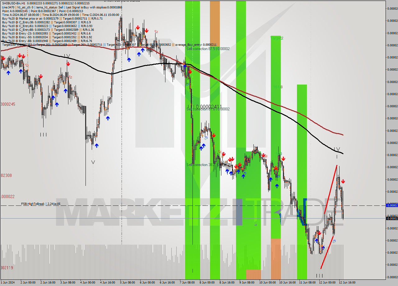 SHIBUSD-Bin MultiTimeframe analysis at date 2024.06.12 22:46