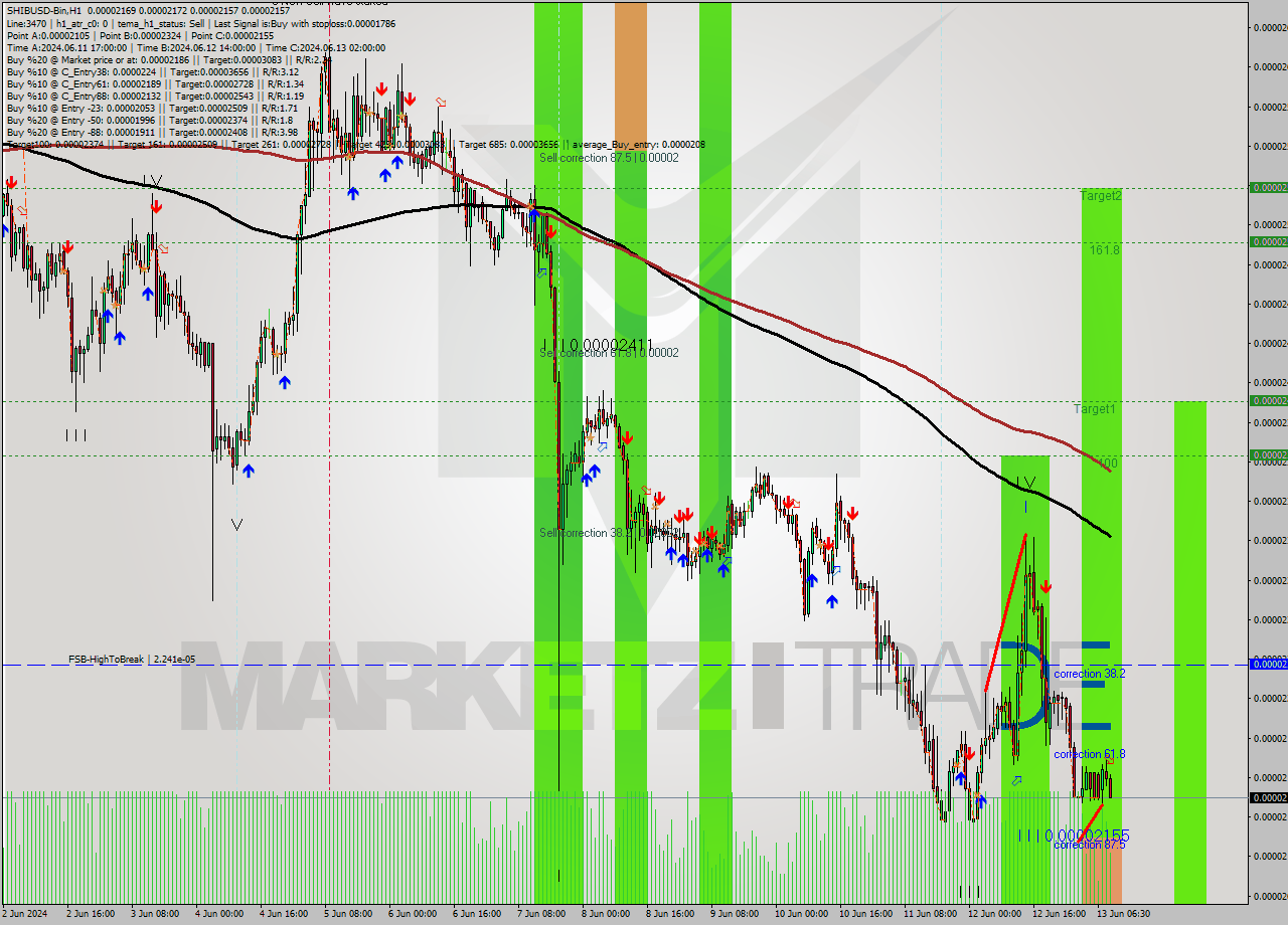 SHIBUSD-Bin MultiTimeframe analysis at date 2024.06.13 12:31