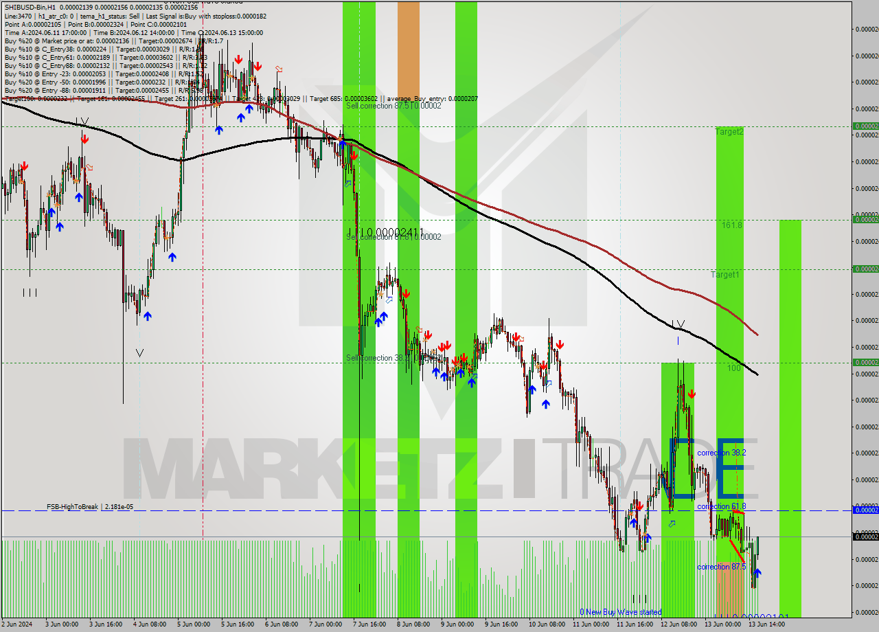 SHIBUSD-Bin MultiTimeframe analysis at date 2024.06.13 20:57