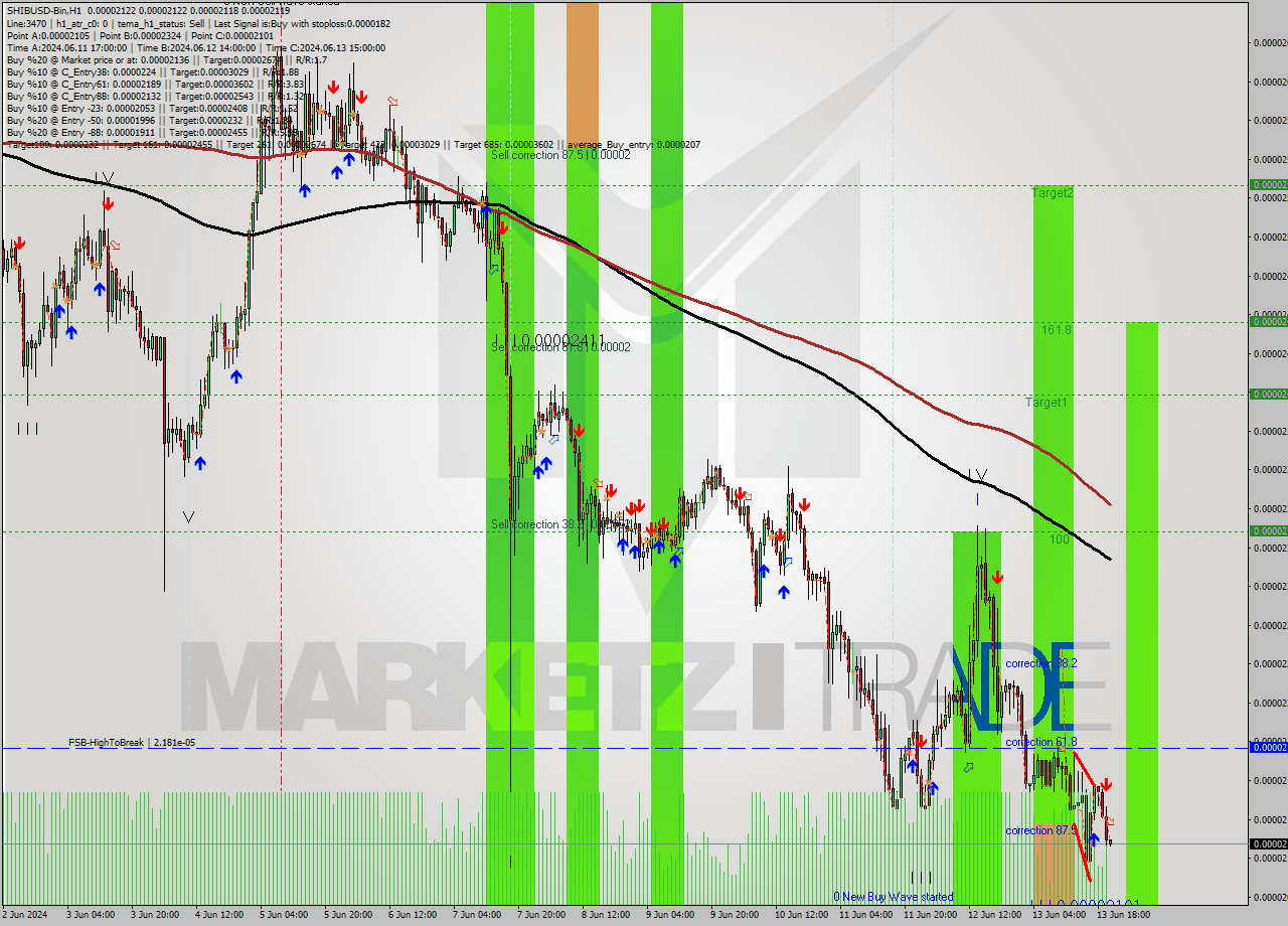 SHIBUSD-Bin MultiTimeframe analysis at date 2024.06.13 23:58