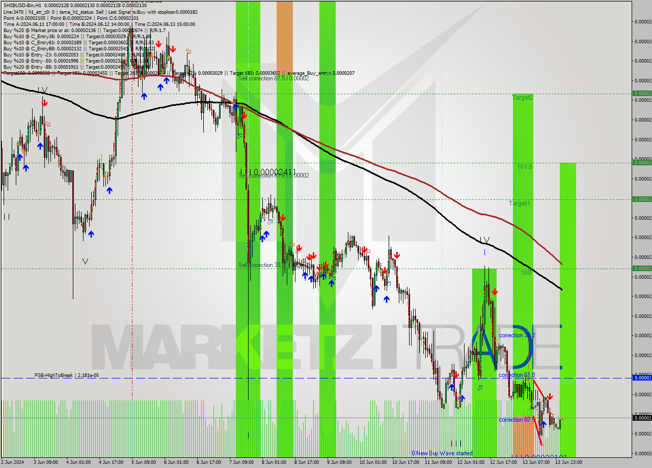 SHIBUSD-Bin MultiTimeframe analysis at date 2024.06.14 05:00