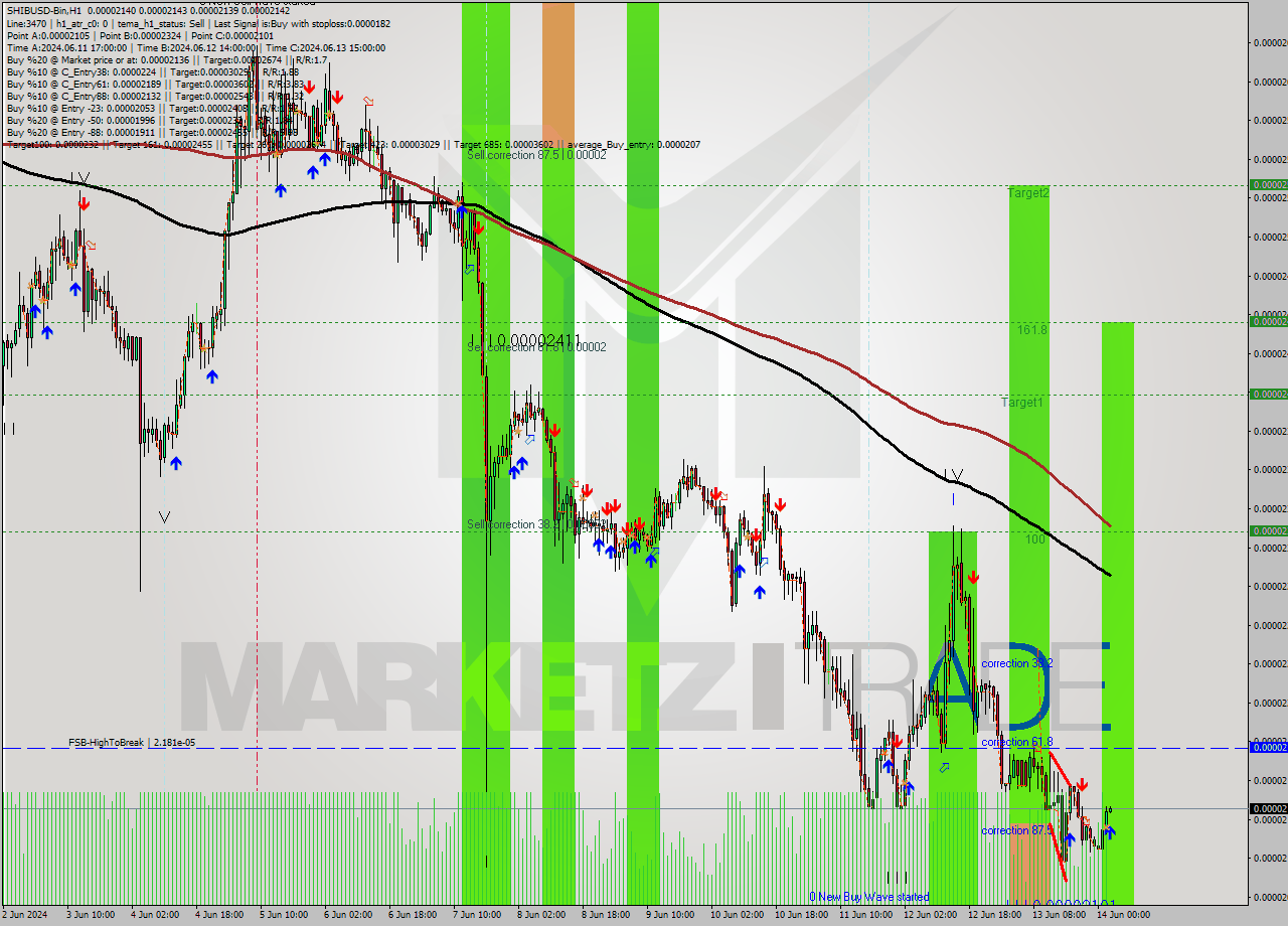 SHIBUSD-Bin MultiTimeframe analysis at date 2024.06.14 06:00