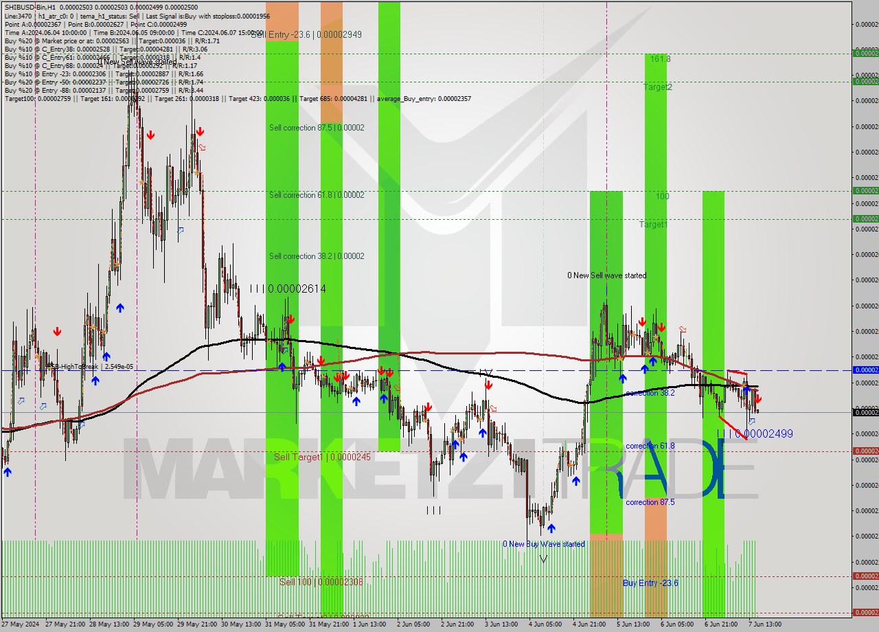 SHIBUSD-Bin MultiTimeframe analysis at date 2024.06.07 19:01