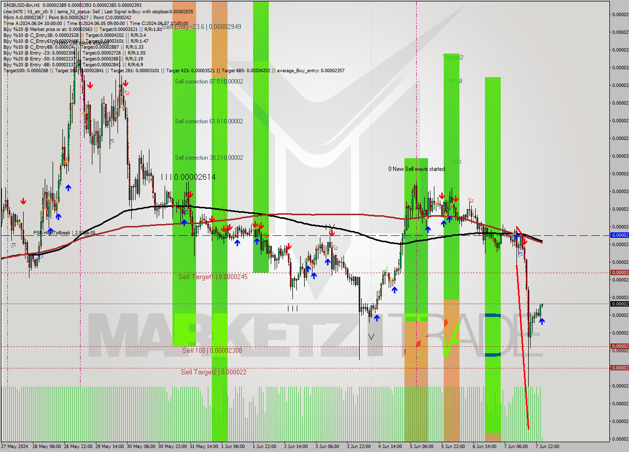 SHIBUSD-Bin MultiTimeframe analysis at date 2024.06.08 04:05