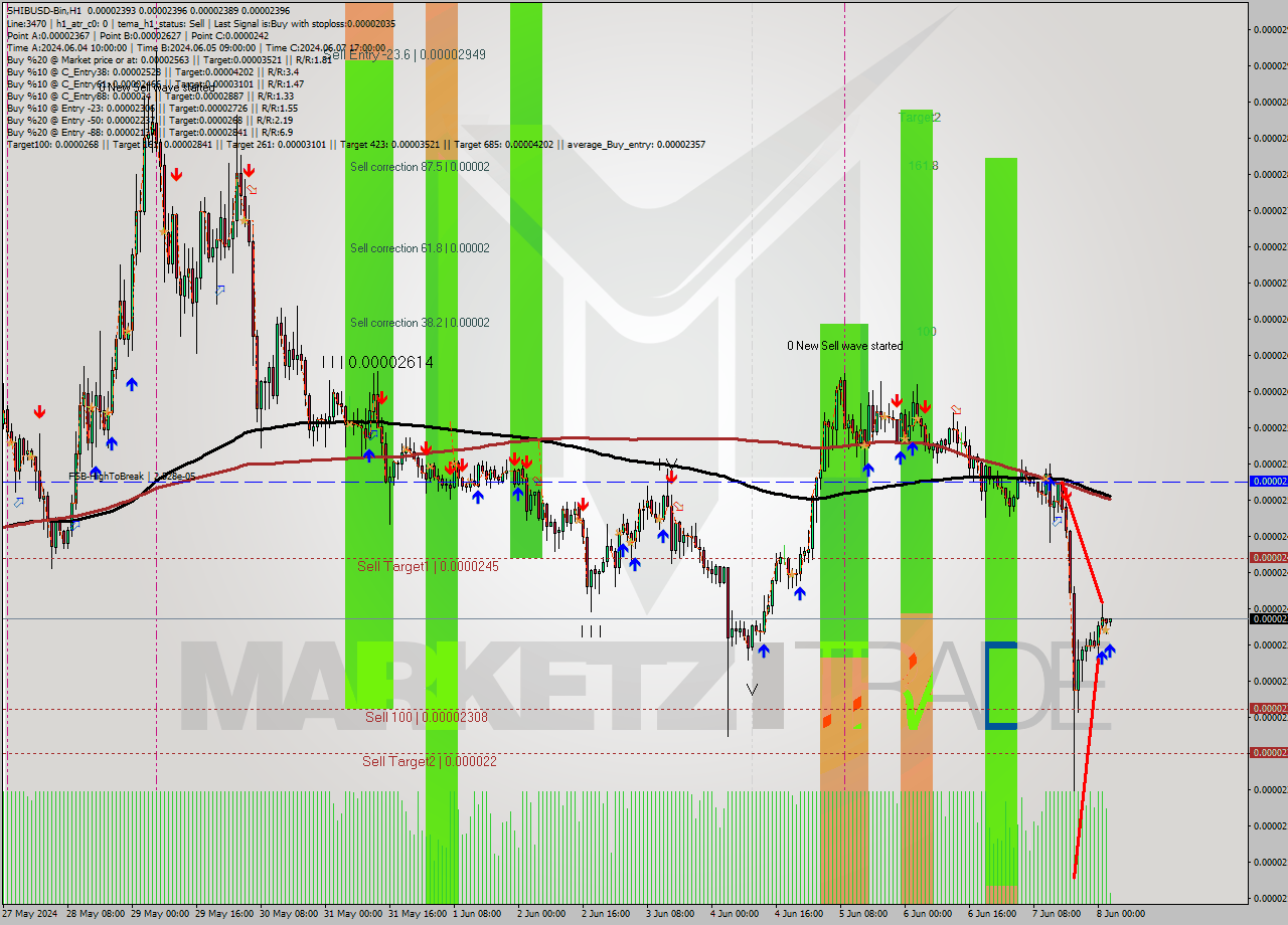 SHIBUSD-Bin MultiTimeframe analysis at date 2024.06.08 06:10