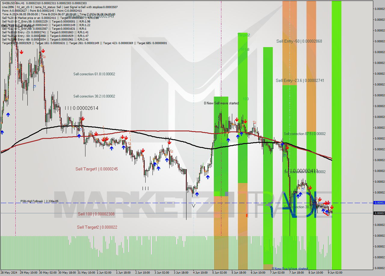 SHIBUSD-Bin MultiTimeframe analysis at date 2024.06.09 08:05