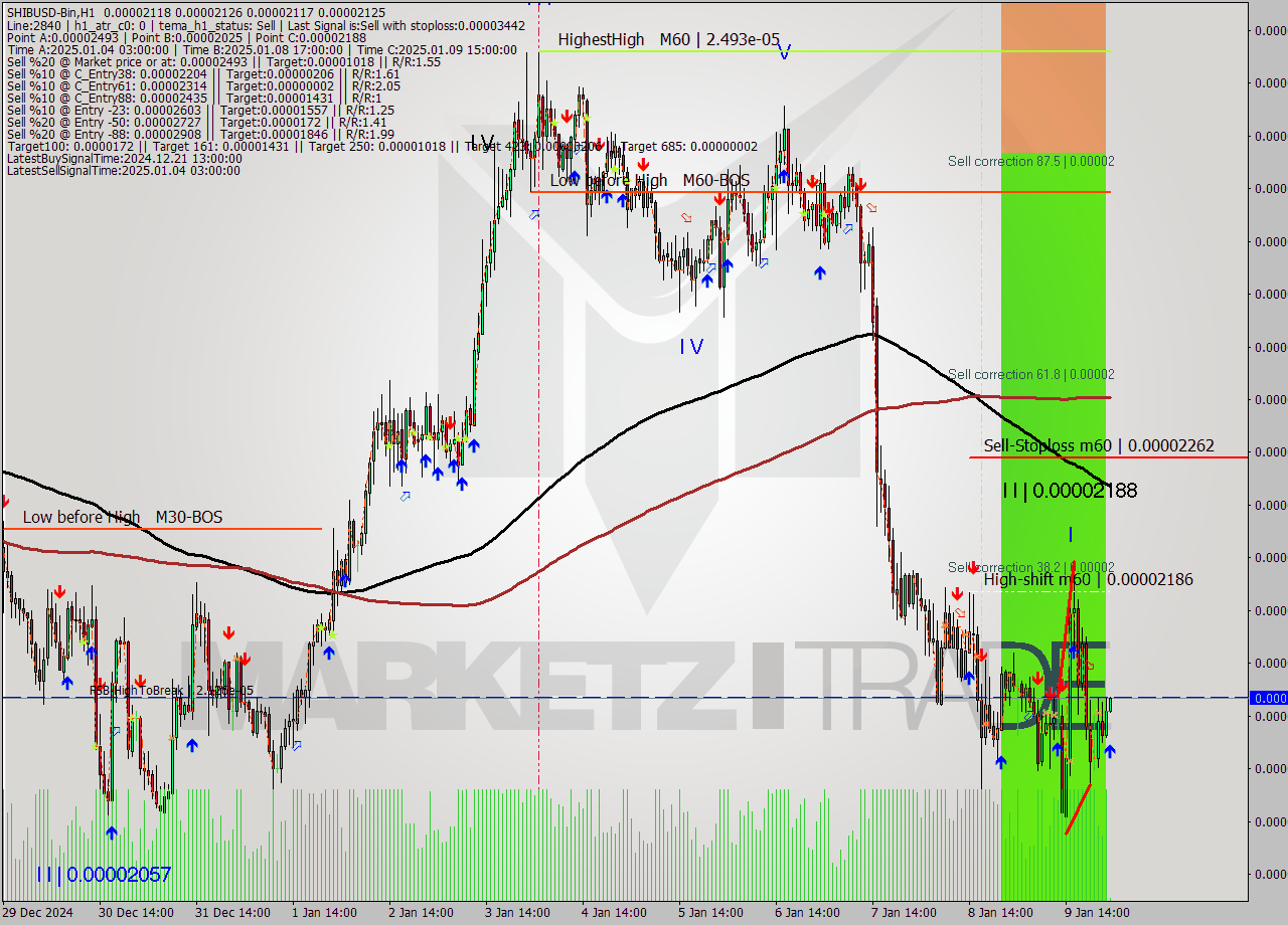 SHIBUSD-Bin MultiTimeframe analysis at date 2025.01.10 03:03