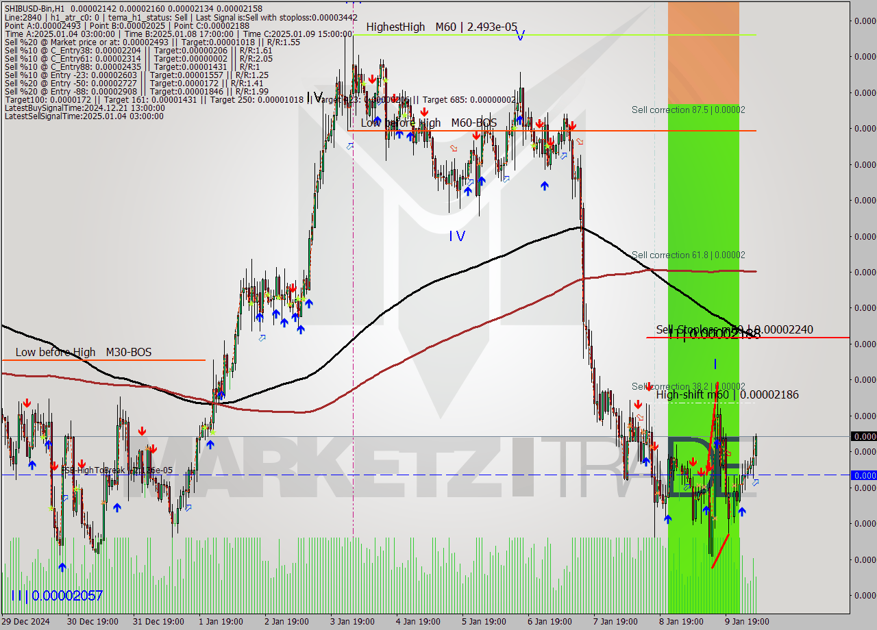 SHIBUSD-Bin MultiTimeframe analysis at date 2025.01.10 08:57