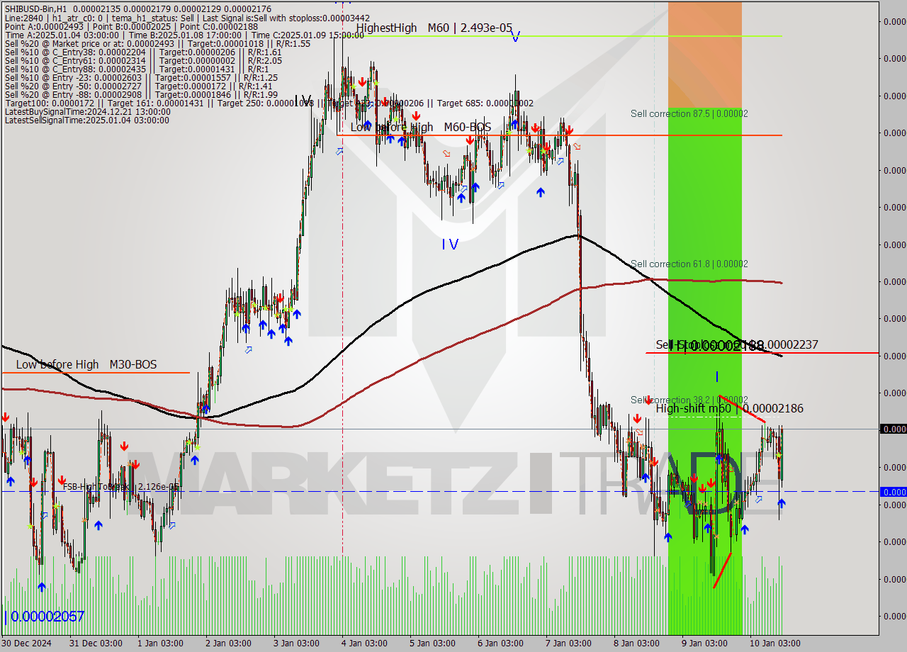 SHIBUSD-Bin MultiTimeframe analysis at date 2025.01.10 16:19