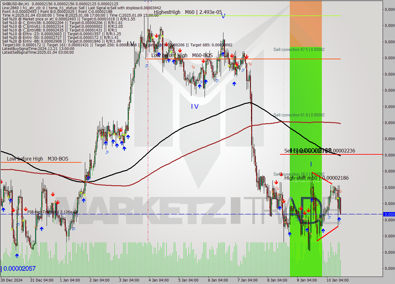 SHIBUSD-Bin MultiTimeframe analysis at date 2025.01.10 17:09