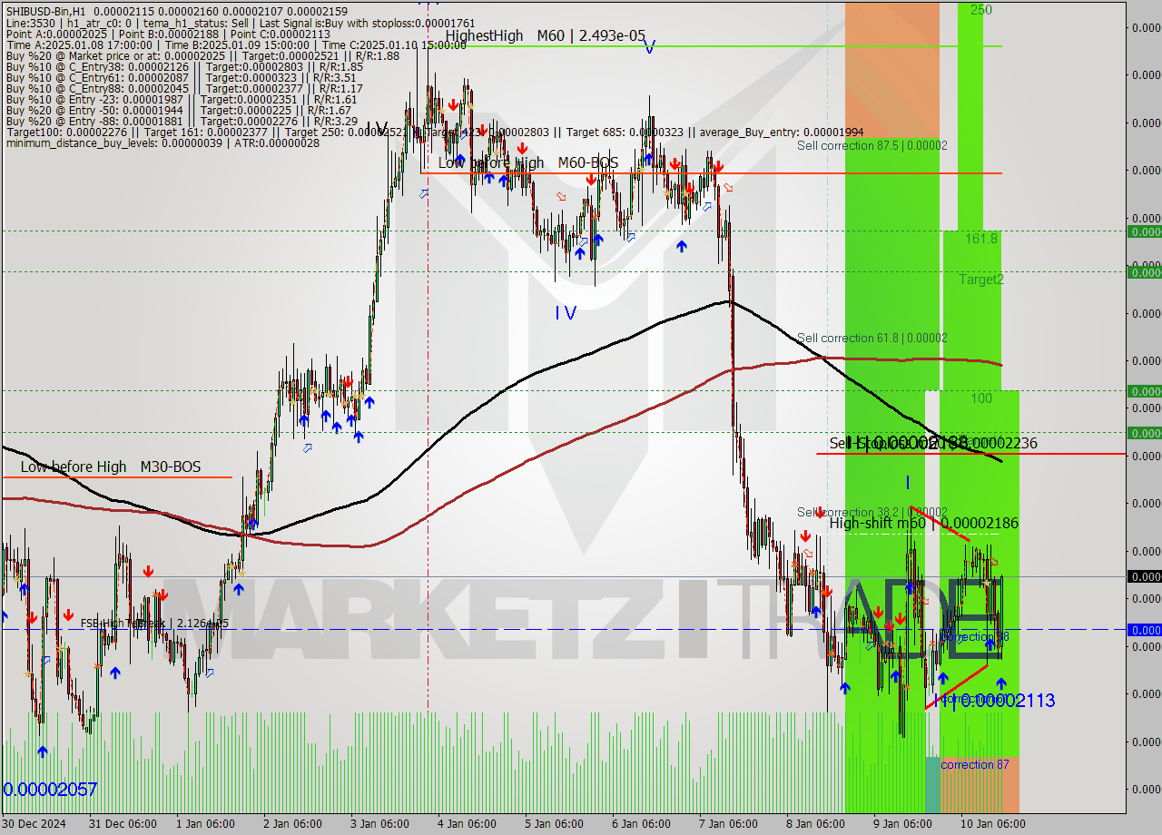 SHIBUSD-Bin MultiTimeframe analysis at date 2025.01.10 19:55