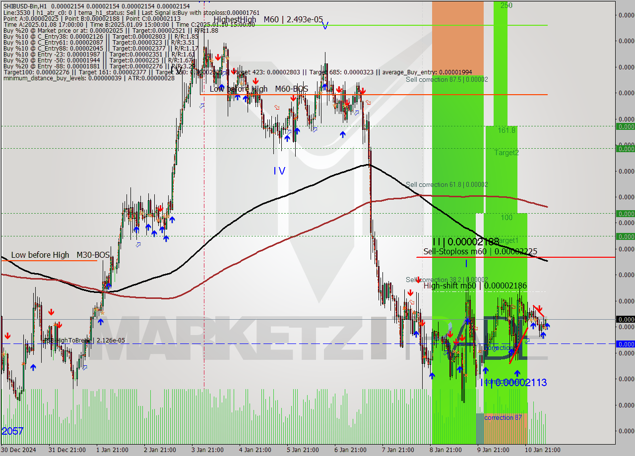 SHIBUSD-Bin MultiTimeframe analysis at date 2025.01.11 10:00